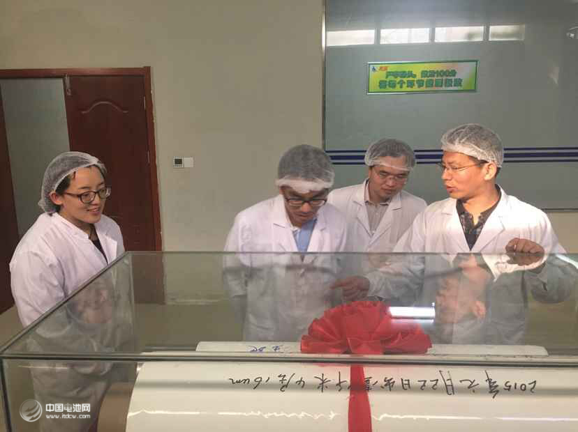 锂电“达沃斯”组委会学术委员会一行调研惠强新能源