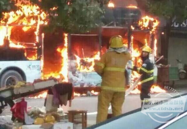 湖北咸宁一辆新能源公交自燃点着路边变压器 车价百万