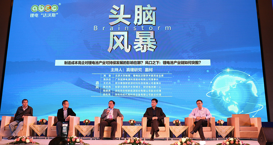 2015年第3届中国（武汉）锂电新能源产业国际高峰论坛