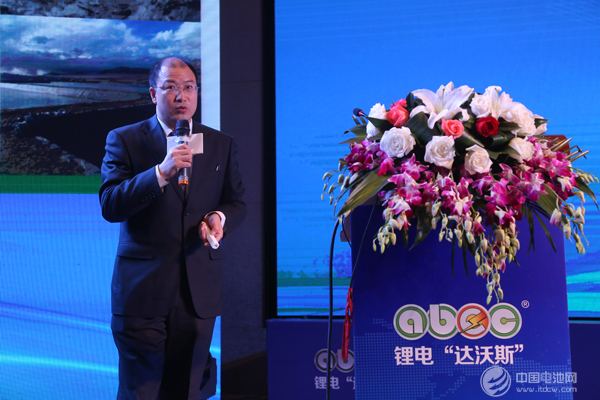 中国有色金属工业协会锂业分会秘书长张江峰