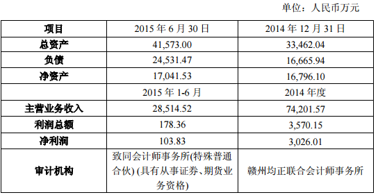 赣州腾远主要财务数据