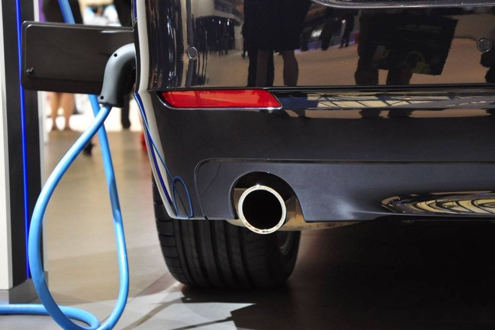 政府补贴逾百亿元 谁能从新能源车赚钱？