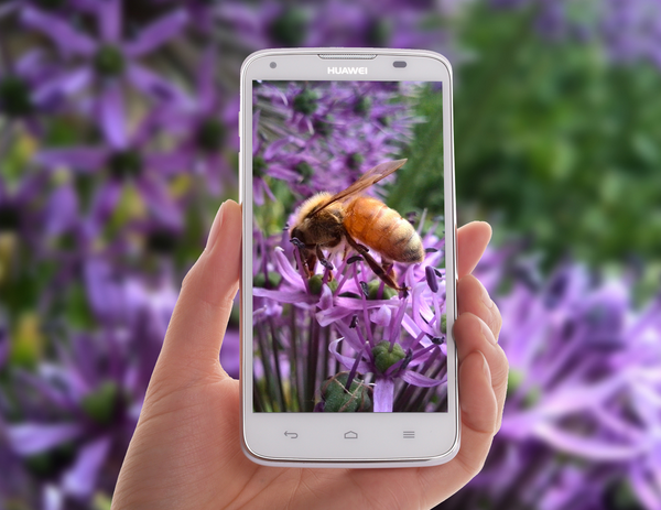 华为：2016下半年或商用石墨烯电池技术