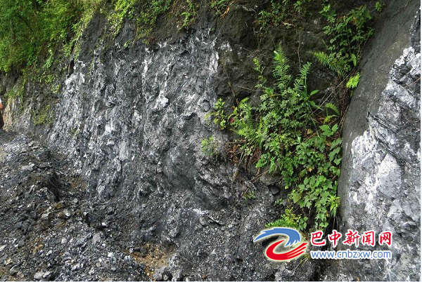 位于南江杨坝——坪河山脉带的石墨资源