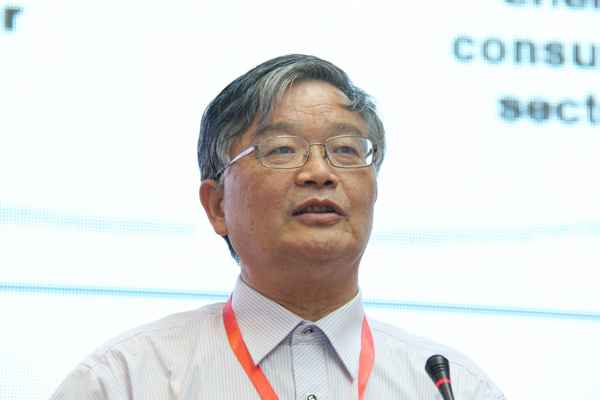 国际氢能协会副主席毛宗强