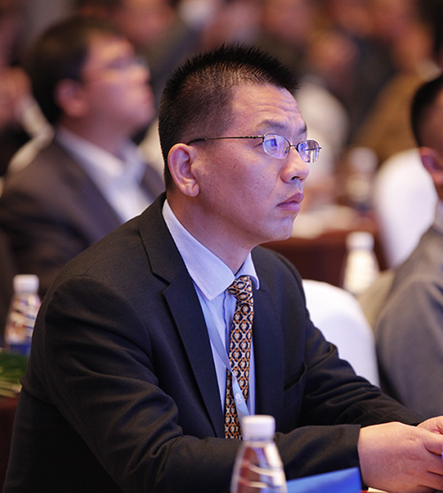 武汉惠强新能源材料科技有限公司董事长 王红兵