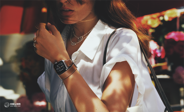 唱衰苹果前知道的五个事实  最大危机在哪里？