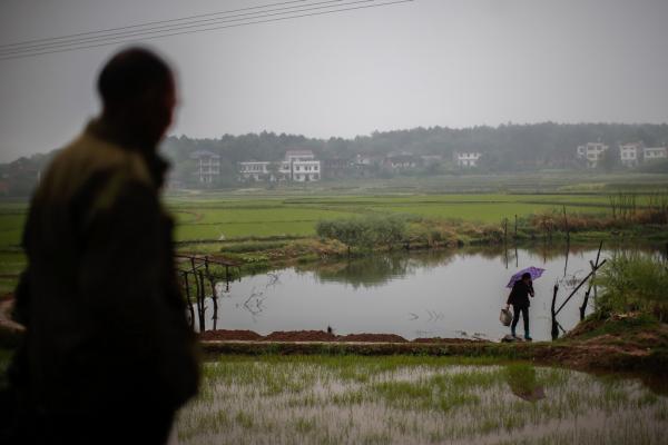 湖南衡阳易XX等53人诉衡阳美仑化工环境污染儿童血铅超标案