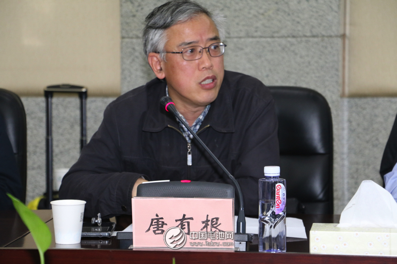 中国储能与动力电池及其材料专业委员会秘书长、中南大学教授唐有根　　