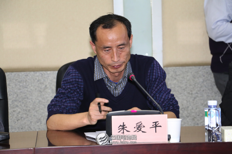 中国（长沙）先进电池材料及电池产业技术创新战略联盟秘书长朱爱平