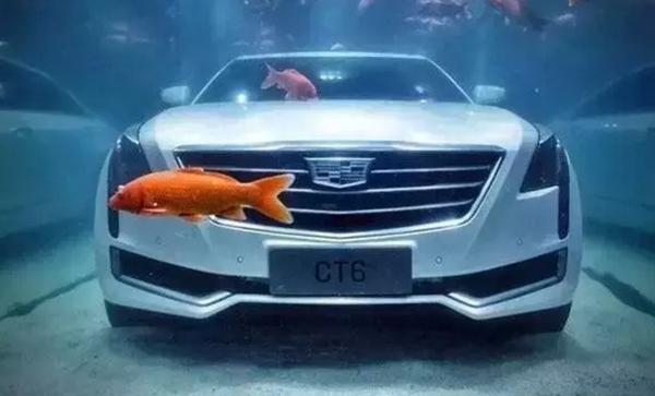 上汽荣威e550电池组完成“浸水五天”挑战