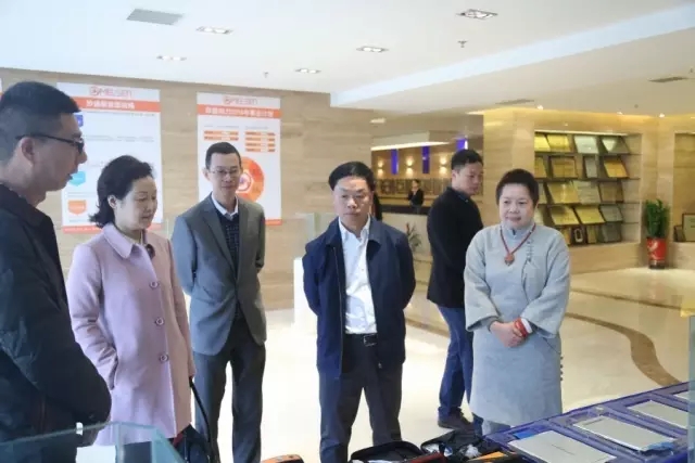 长沙先导投资控股董事长刘继雄一行考察巨星集团