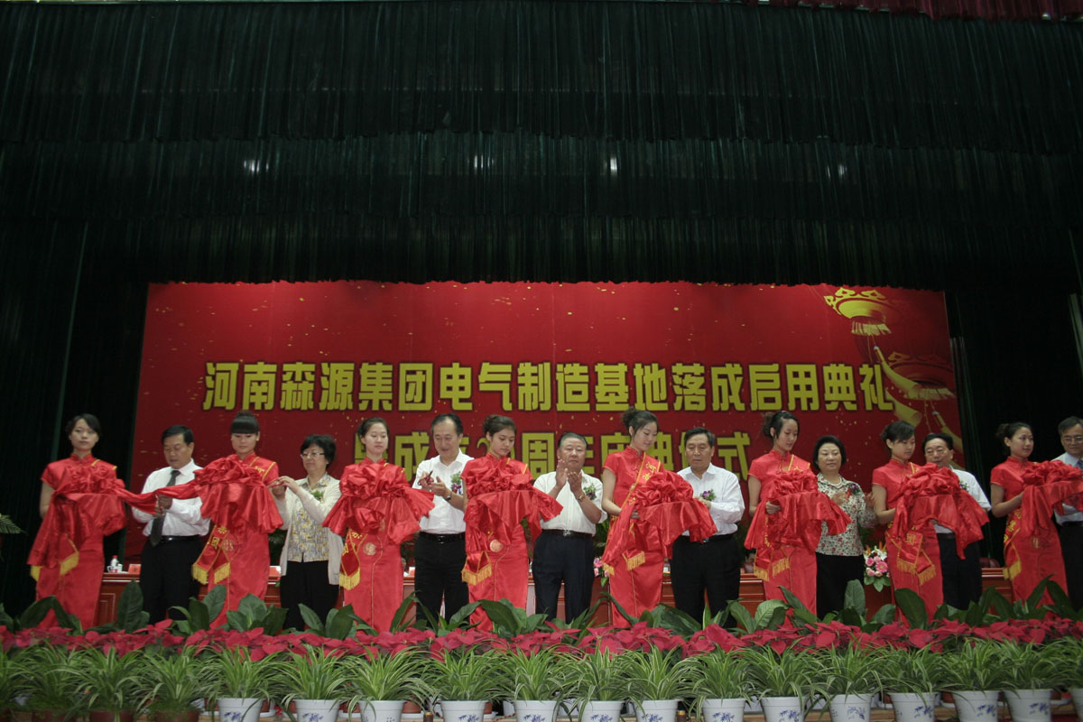 森源电气：适时力推充电桩 奏出资本最强音