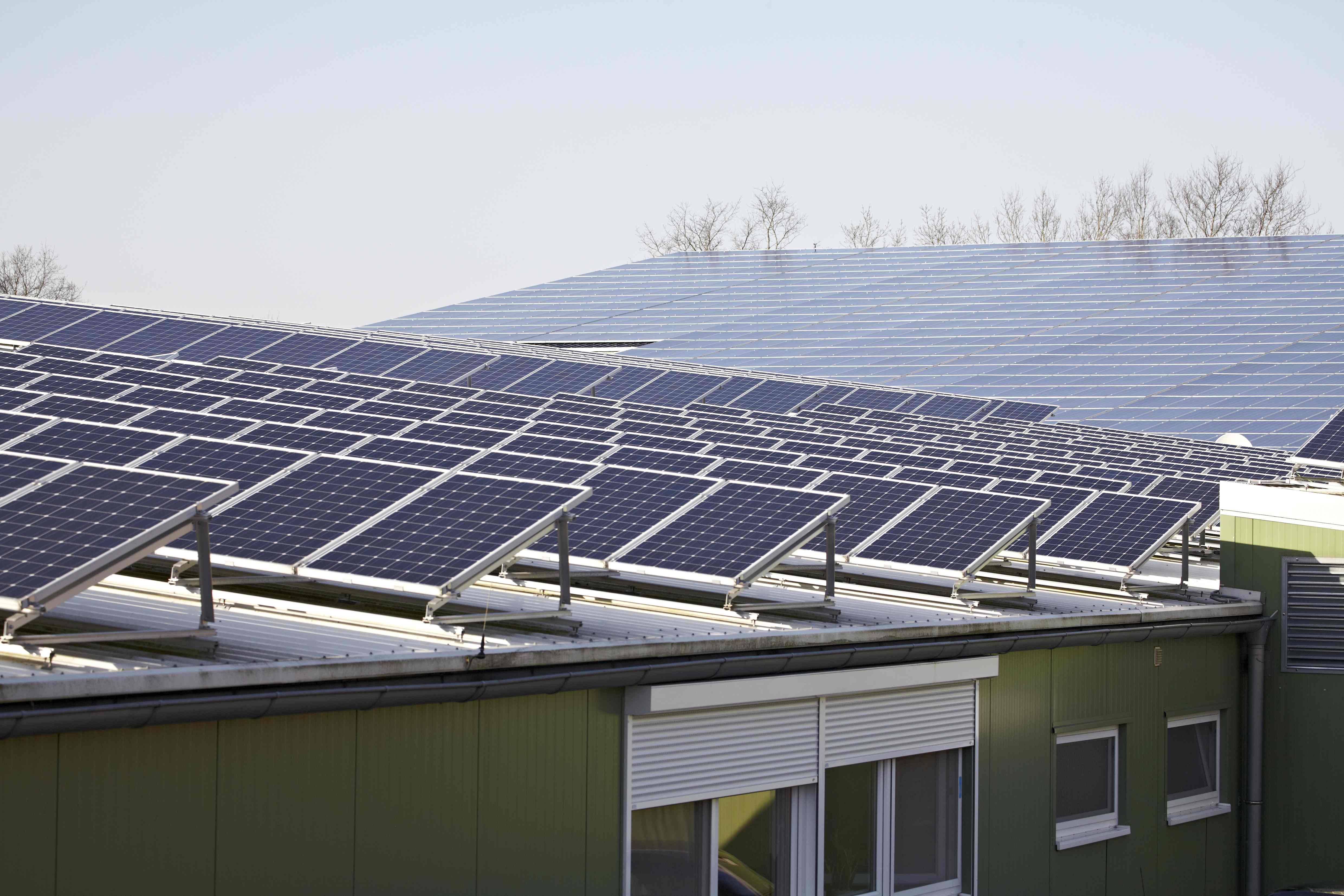 揭秘多晶硅进口黑幕 进口避税花样百出