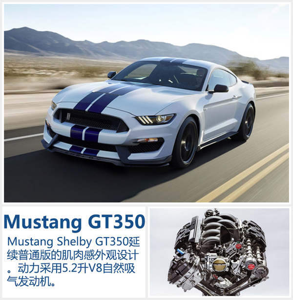 福特将推新能源等4款新车 今日在华发布