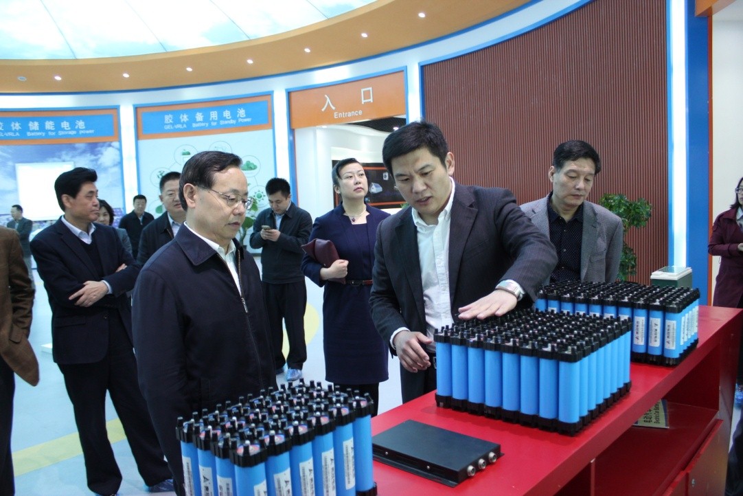 致公党中央常务副主席蒋作君一行到奥冠电池调研