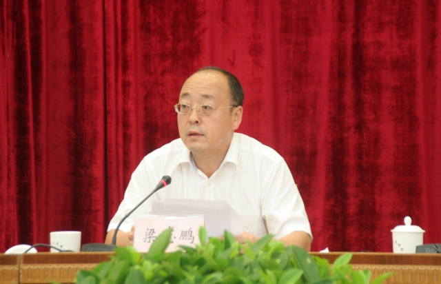 国家能源局梁志鹏：五方面创新促光伏产业转型升级