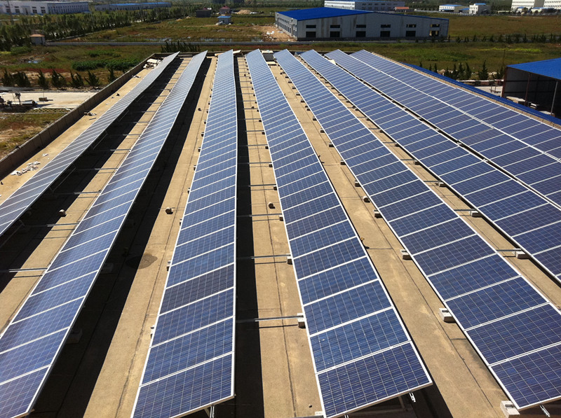 江苏泰州市政府：光伏电站不得直接在地面上实施