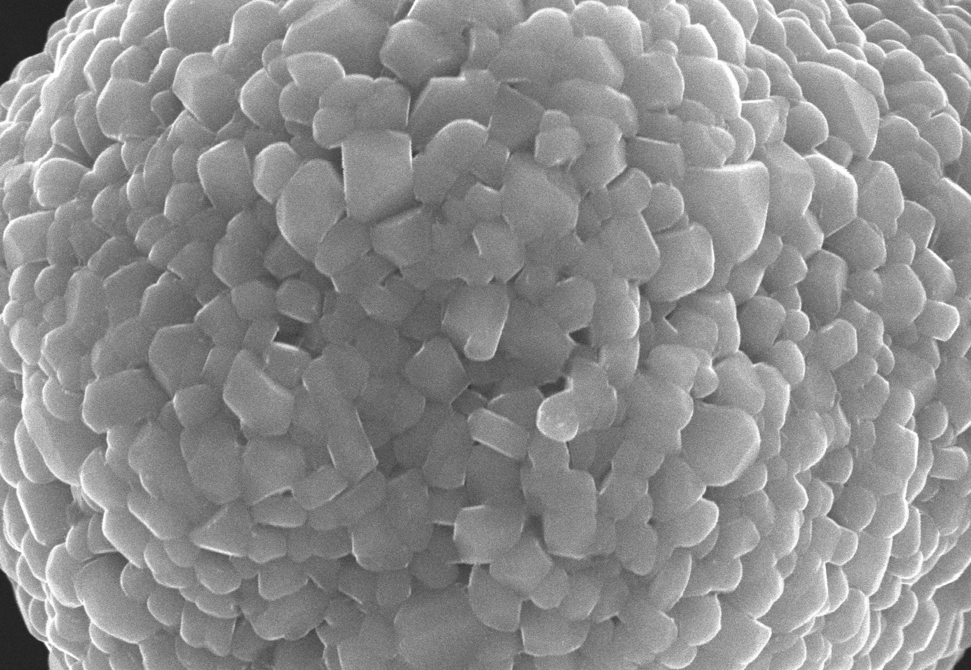 总投资2.12亿元 英德拟扩建年产1万吨锂电池正极材料