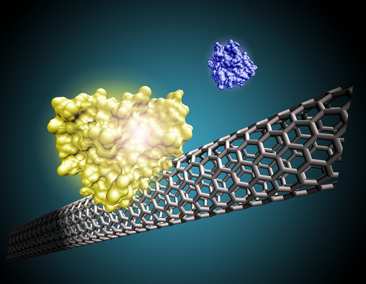 单壁碳纳米管新材料 能提升电池近30%容量