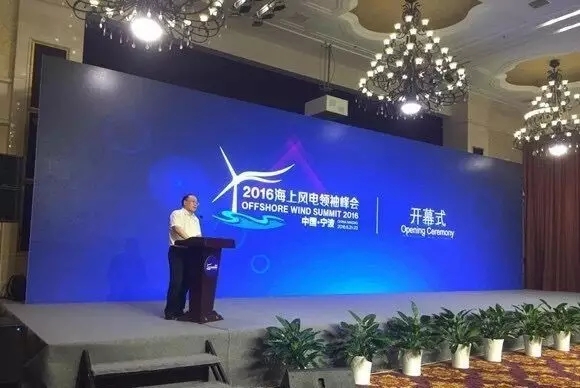 图为国家能源局新能源和可再生能源司副司长史立山致辞