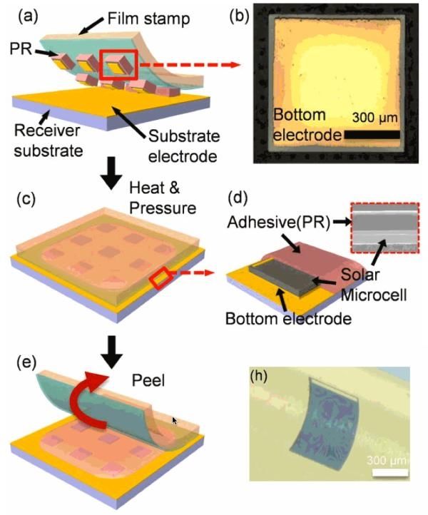 韩国研制出世界最薄太阳能电池 厚度仅为头发直径1%