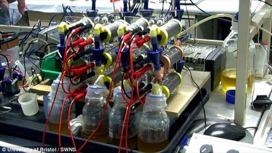 英发明“尿液电池” 半升尿液可为智能机充电3小时