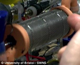 英发明“尿液电池” 半升尿液可为智能机充电3小时