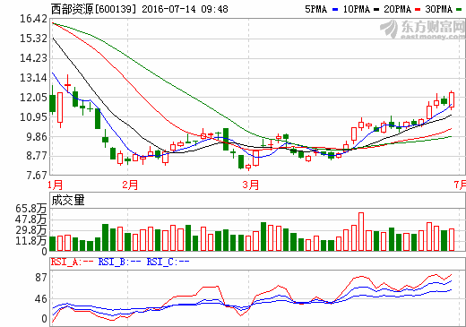 西部资源新能源汽车遇冷 上半年销量下降超三成