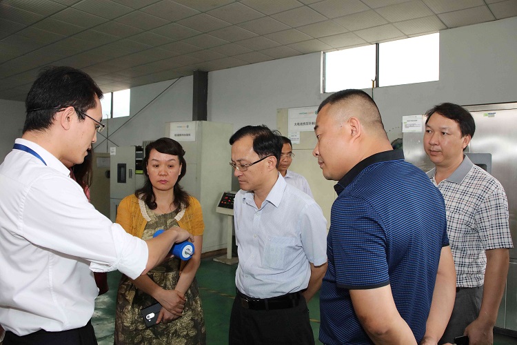 广西来宾市市长雷应敏一行莅临银隆新能源