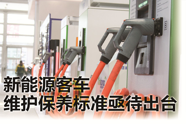 数量多、规模大