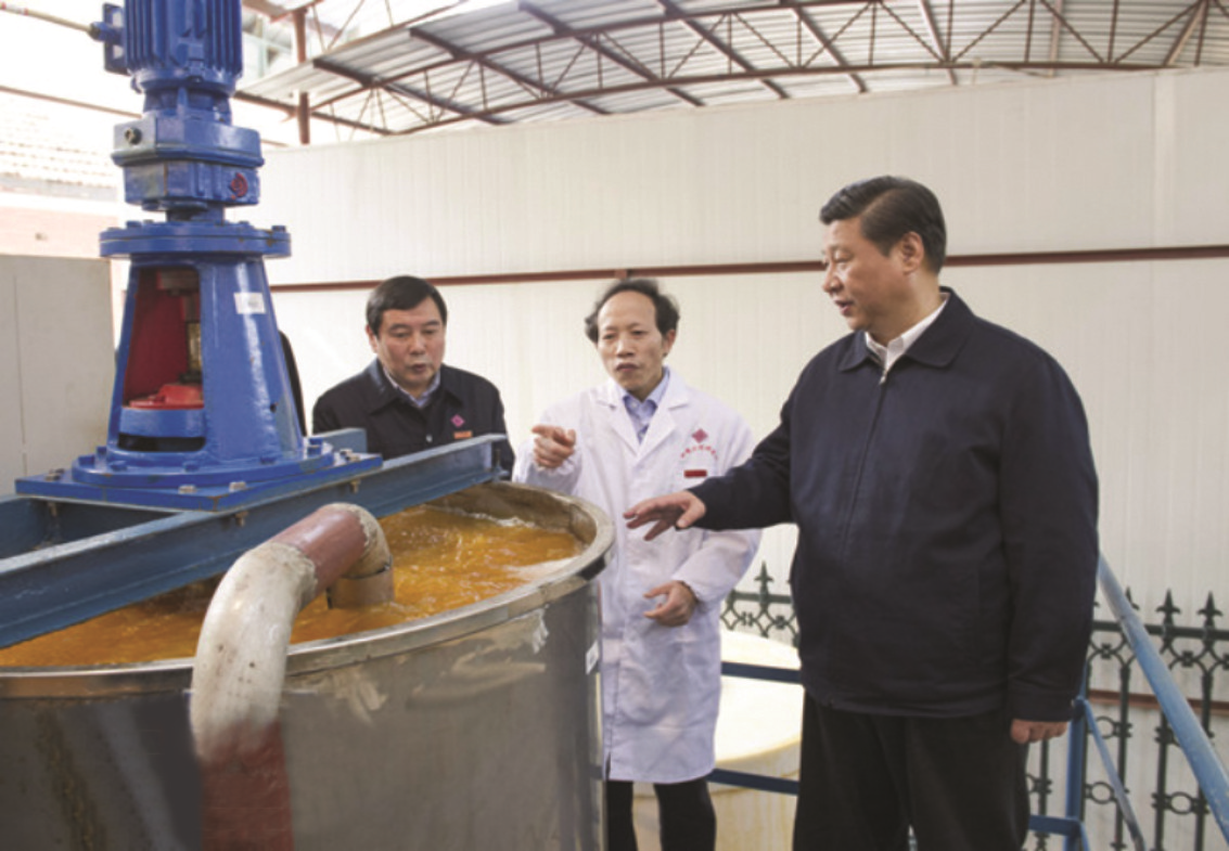 习近平主席视察宁乡