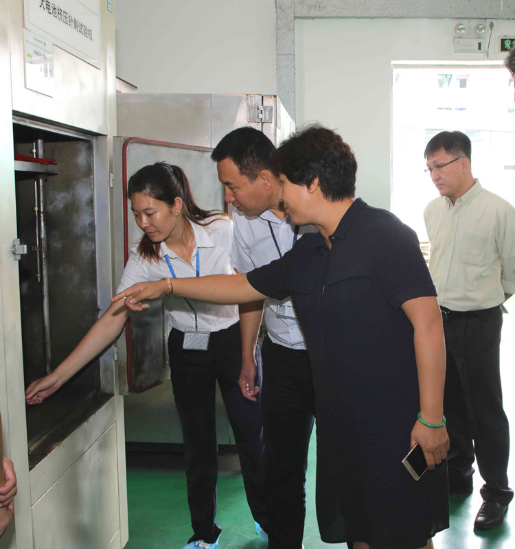 吉林瀚星集团副董事长方长丽一行参观考察银隆新能源