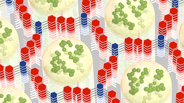 研究人员开发出储能10倍 充电速度也超快的新型电池材料