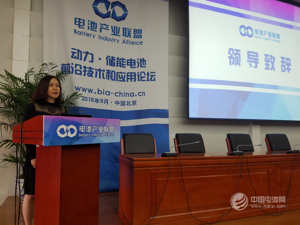 电池产业联盟理事长余斌