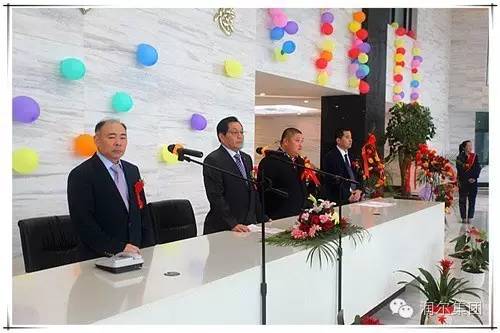 铅酸电池迎革命 安徽润尔光电集团纳米硅镁固体电池投产