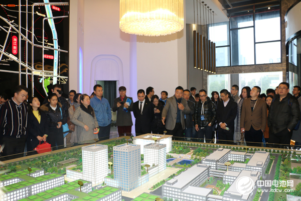 第4届锂电“达沃斯”论坛嘉宾参观宁乡高新区 锂电产业集聚