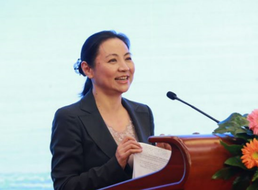 银隆何以获得董明珠与王健林等超强阵容30亿投资？