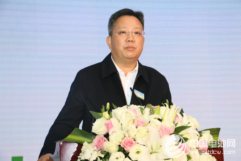 中国沃特玛新能源汽车产业创新联盟理事长李瑶