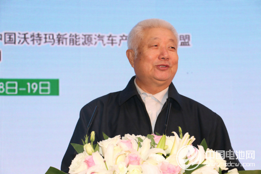 中国工程院院士杨凤田发表主题演讲