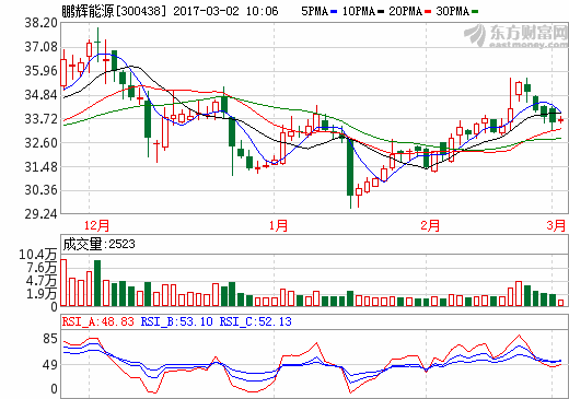 鹏辉能源 鹏辉能源