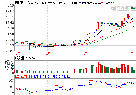 赣锋锂业 赣锋锂业