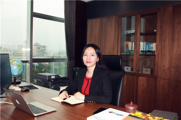 微宏动力高级营销副总裁何欣