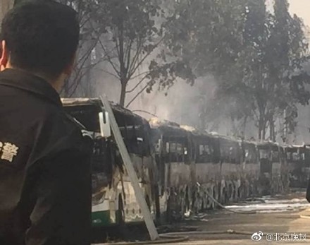 北京蟹岛度假村停车场突发大火 