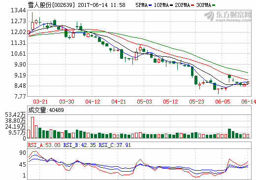 雪人股份副总经理华耀虹：燃料电池汽车将催生氢能经济吸引力