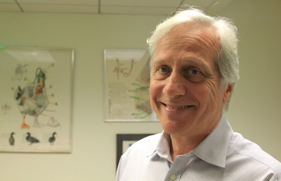 科学家自述：曾为世界节省15%电量 如今找到硅替代物