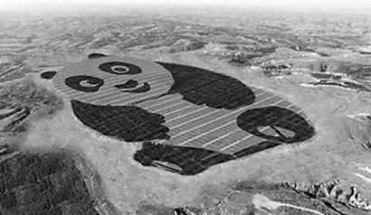 世界上最萌的光伏电站：一只占地1500亩的“大熊猫”