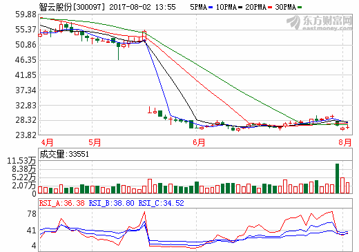 智云股份 智云股份