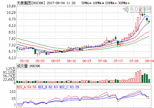 天原集团 天原集团