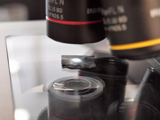 融入石墨烯：科学家正打造新型高强度橡皮筋